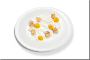 Scallops photo Scallops image