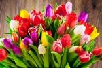 On March 7 and 8, a compliment to all women! фото On March 7 and 8, a compliment to all women! картинка