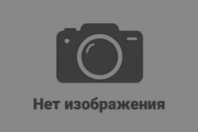 Куриные наггетсы с фри нет изображения